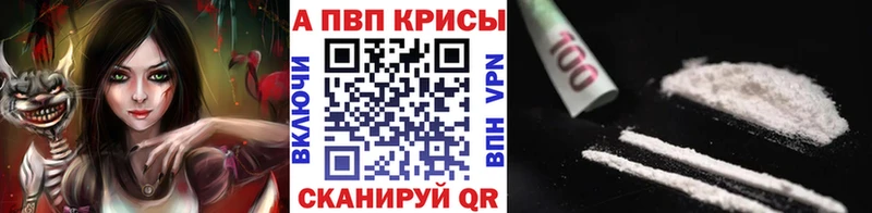 Альфа ПВП СК КРИС Ершов
