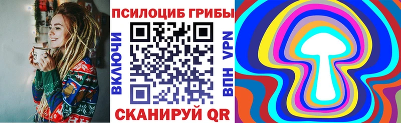 Галлюциногенные грибы Cubensis Ершов